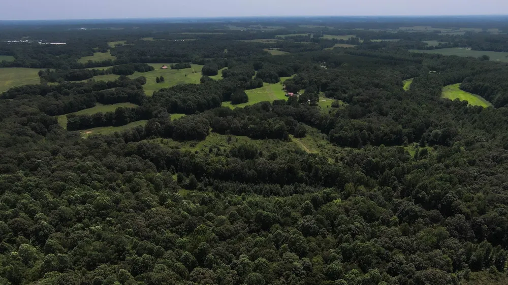 631 Jay Bird Ln Palmersville, TN 38241