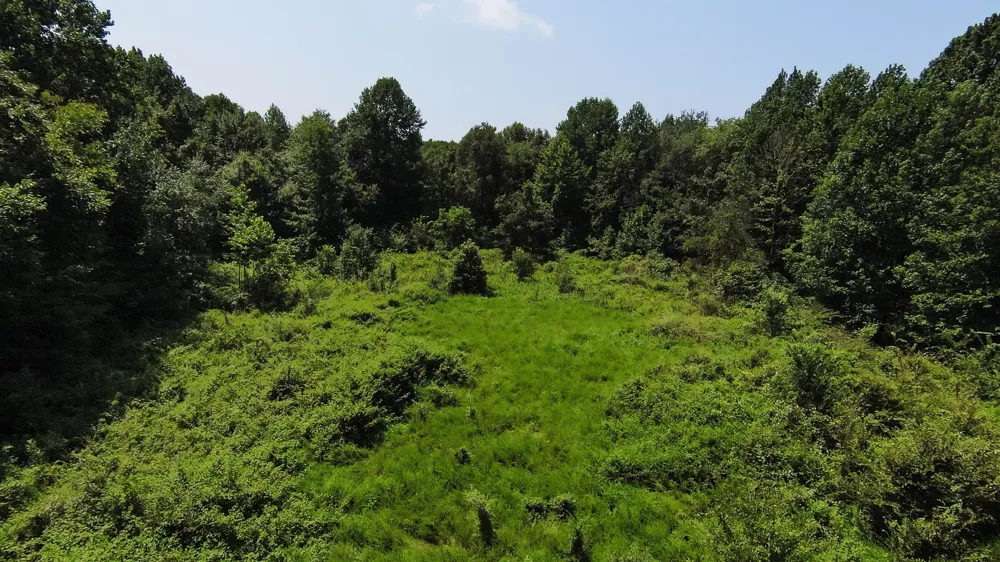 631 Jay Bird Ln Palmersville, TN 38241