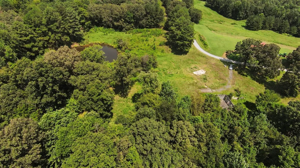 631 Jay Bird Ln Palmersville, TN 38241
