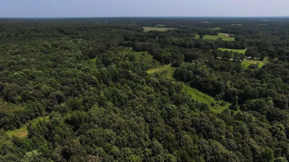 631 Jay Bird Ln Palmersville, TN 38241