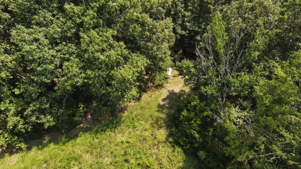 631 Jay Bird Ln Palmersville, TN 38241