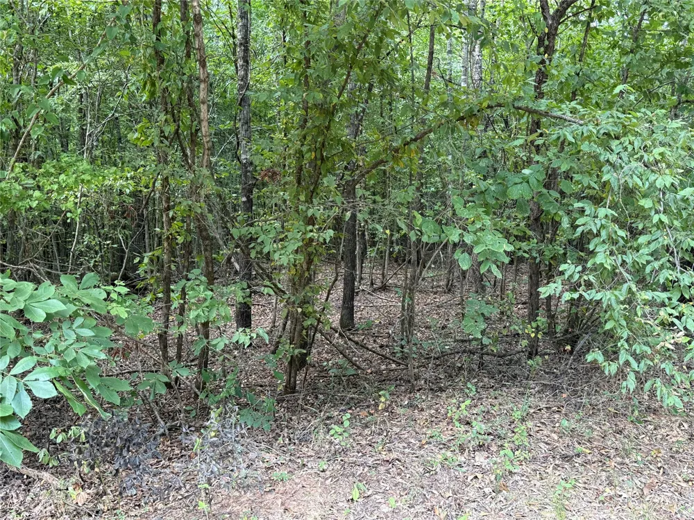 2346 County Road 4284 Simms, TX 75574