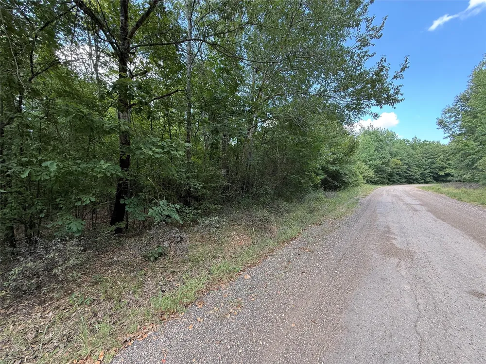 2346 County Road 4284 Simms, TX 75574