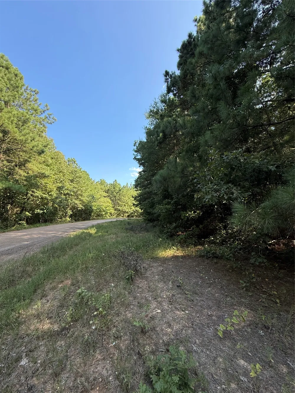 2346 County Road 4284 Simms, TX 75574