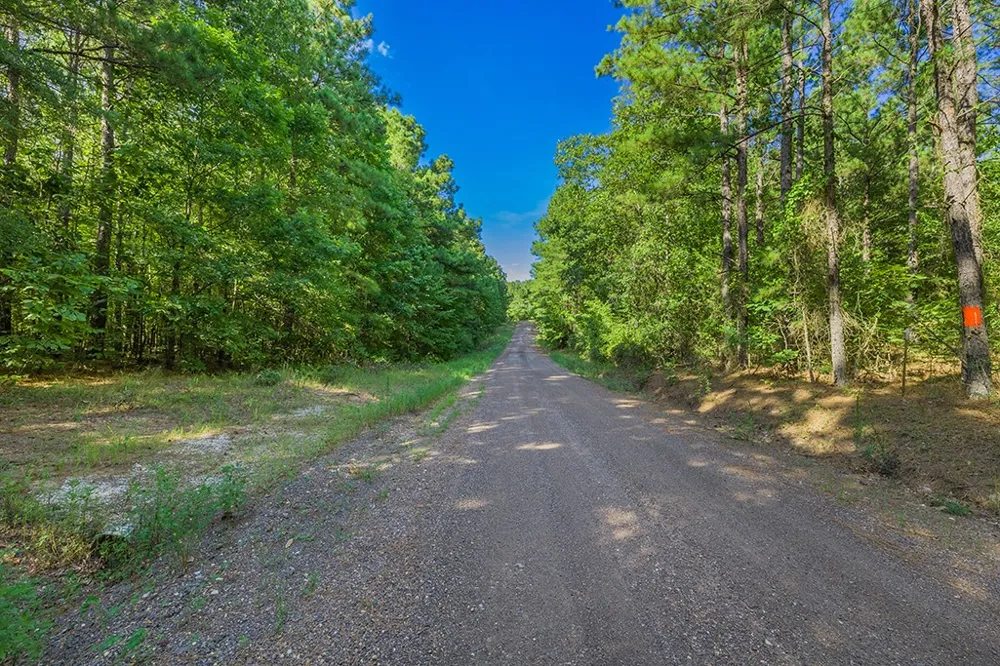 2346 County Road 4284 Simms, TX 75574
