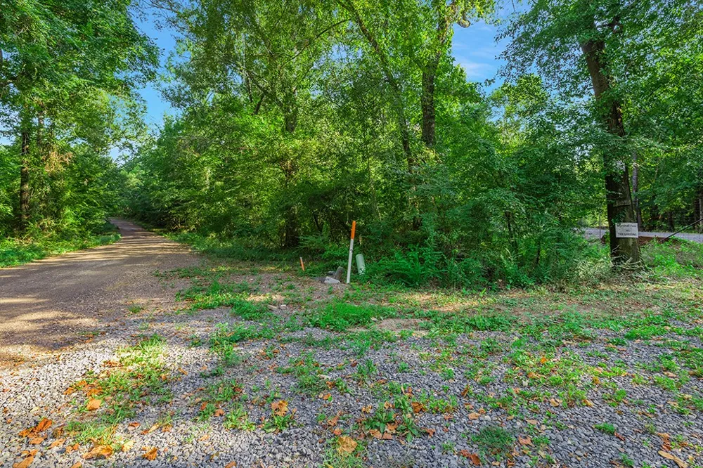 2346 County Road 4284 Simms, TX 75574