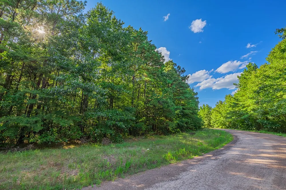 2346 County Road 4284 Simms, TX 75574