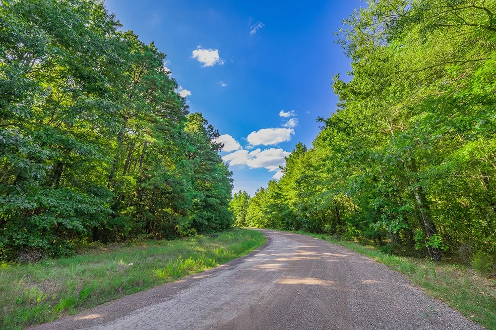 2346 County Road 4284 Simms, TX 75574
