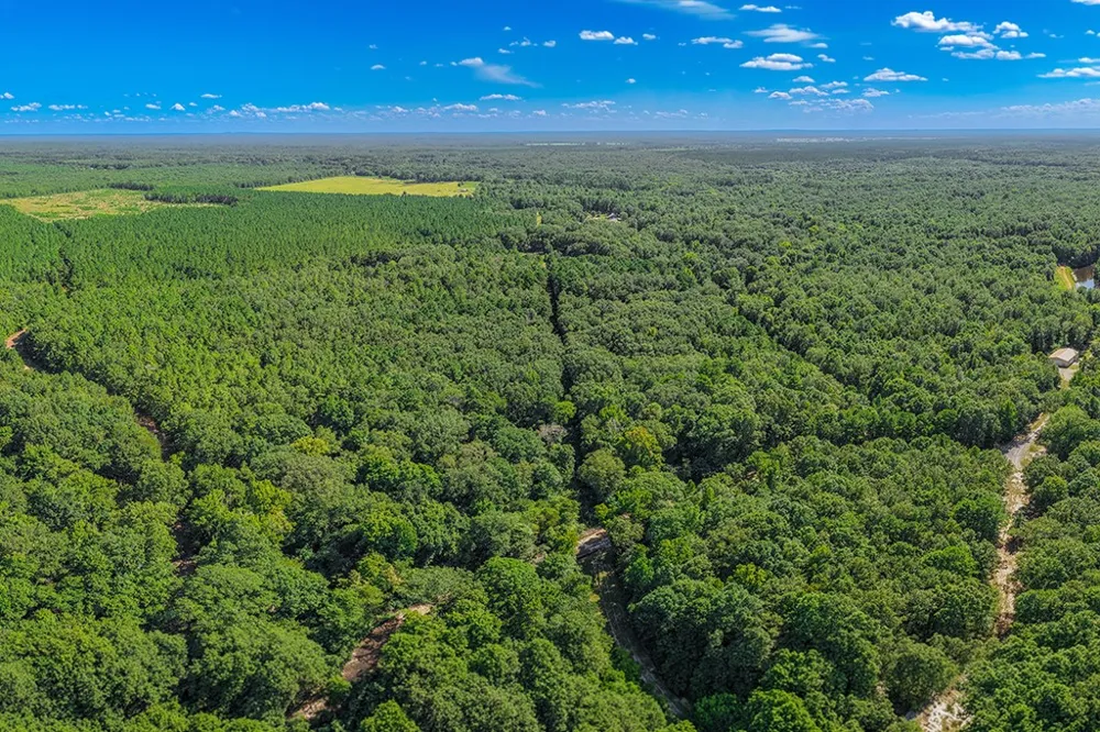 2346 County Road 4284 Simms, TX 75574