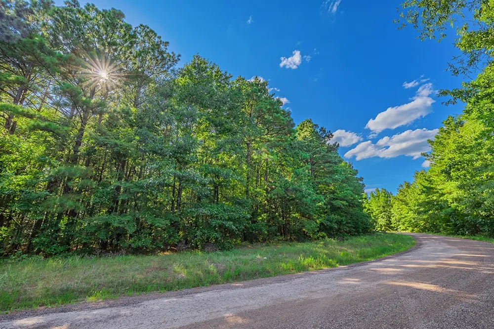 2346 County Road 4284 Simms, TX 75574