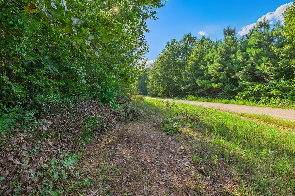 2346 County Road 4284 Simms, TX 75574