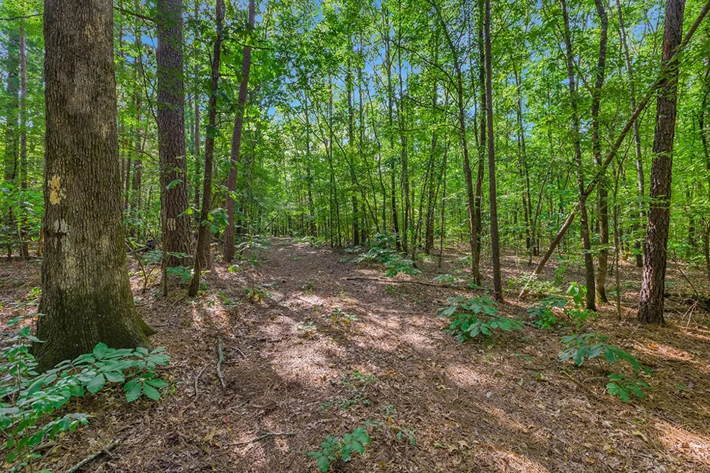2346 County Road 4284 Simms, TX 75574
