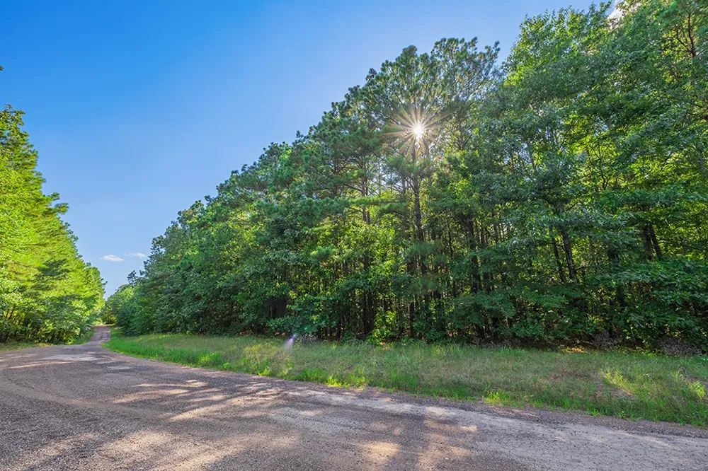 2346 County Road 4284 Simms, TX 75574