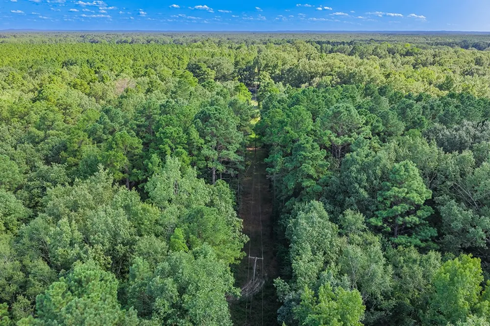 2346 County Road 4284 Simms, TX 75574