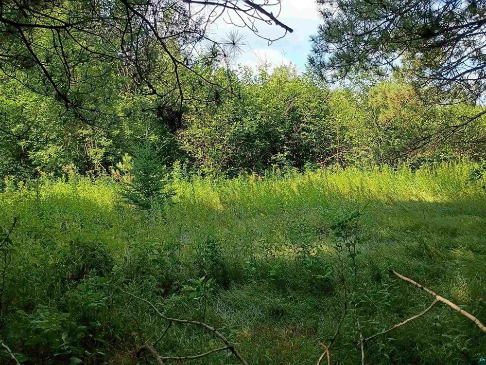 3619 Highway 33 Cloquet, MN 55720