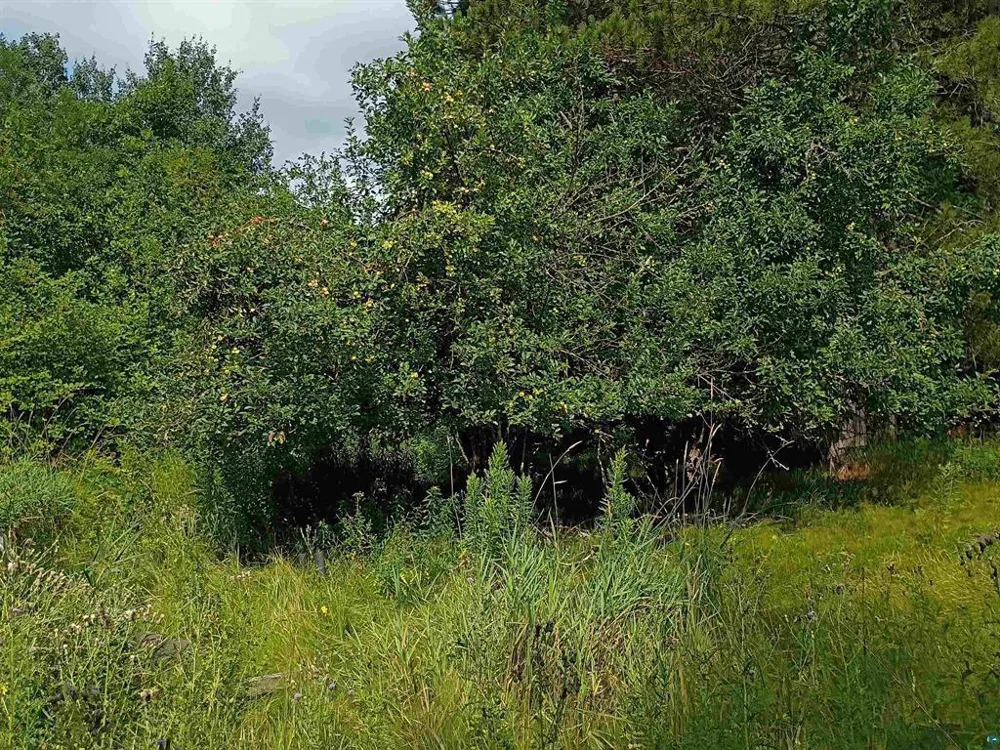 3619 Highway 33 Cloquet, MN 55720