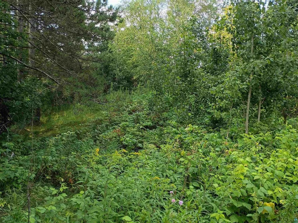 3619 Highway 33 Cloquet, MN 55720