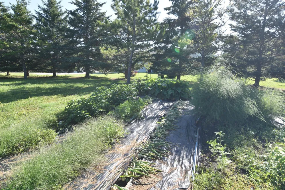 220 4th Avenue SW Baudette, MN 56623