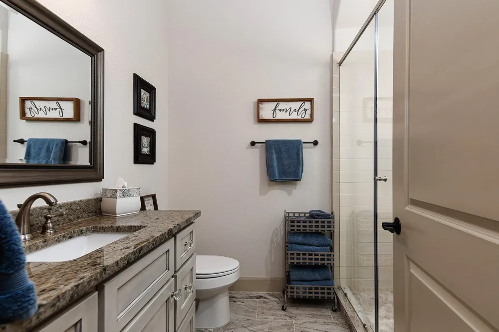 1459 Torrijos Court Shenandoah, TX 77384