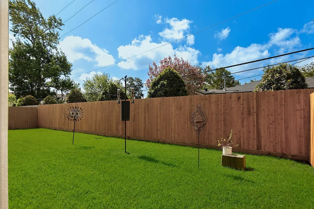 1459 Torrijos Court Shenandoah, TX 77384