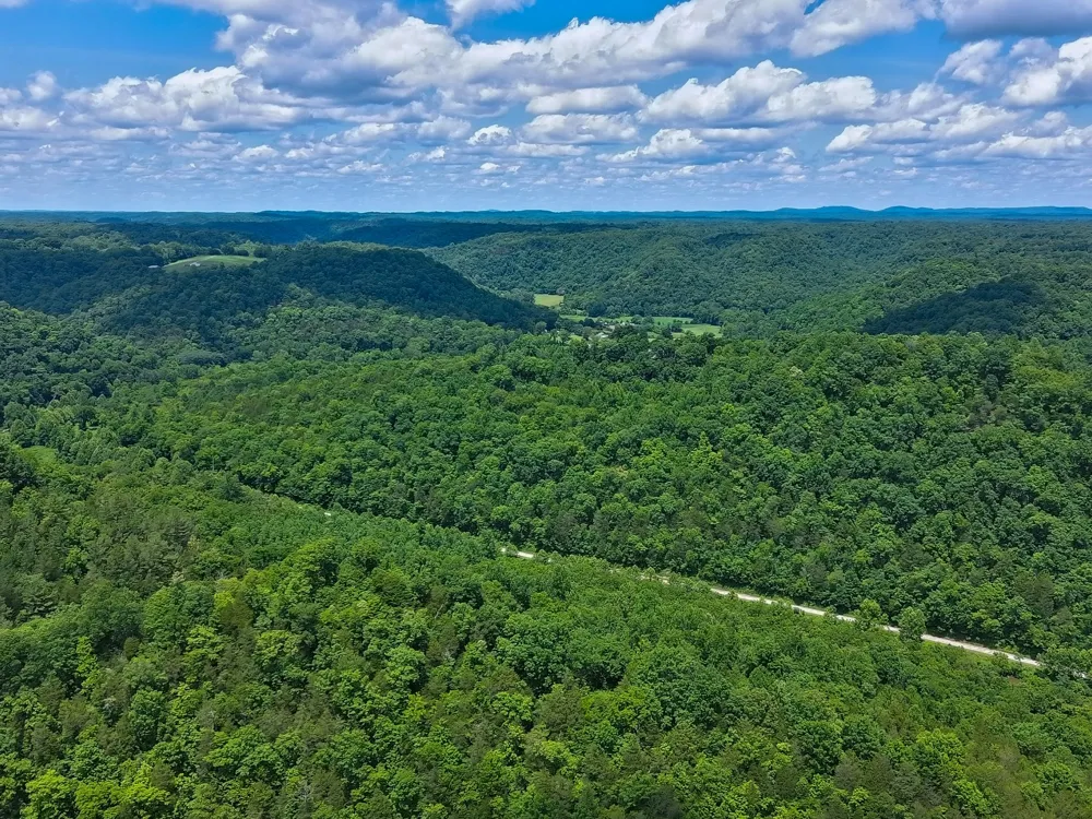 3 Blackburn Fork Rd Cookeville, TN 38501