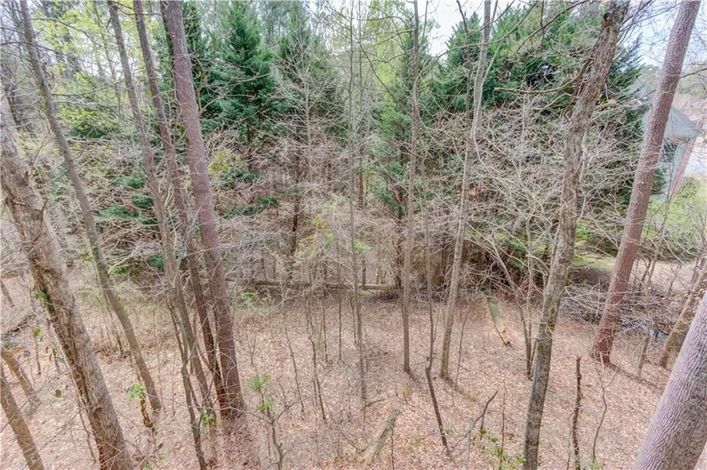 11007 Lorin Way Duluth, GA 30097