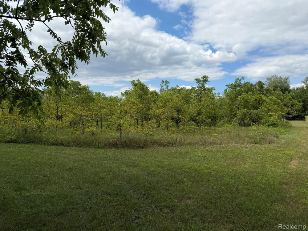 9177 Bemis Road Ypsilanti Charter Township, MI 48197