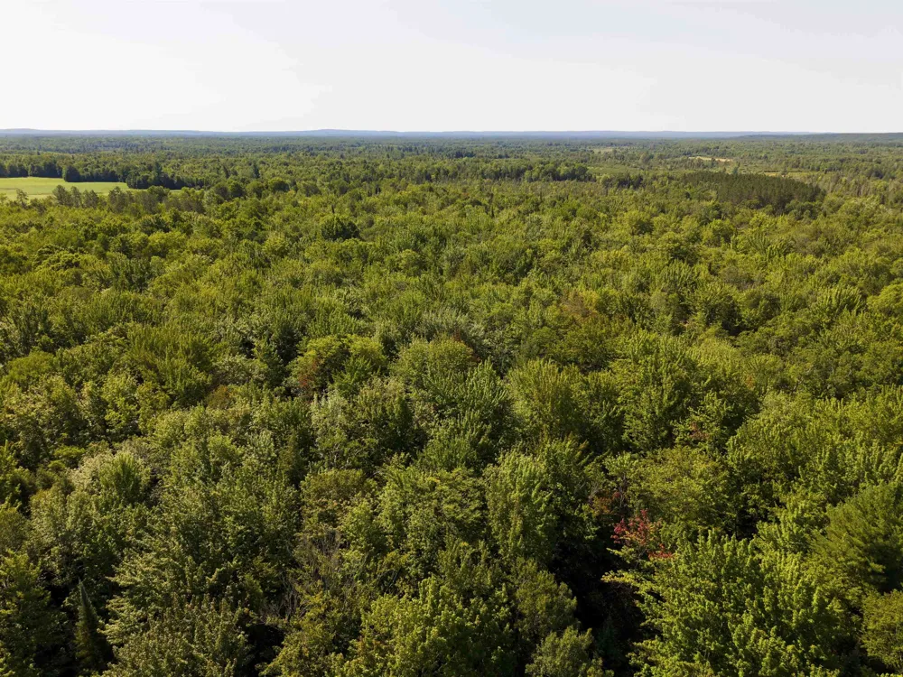 3396 SE Spencer Road Orange Township, MI 49646