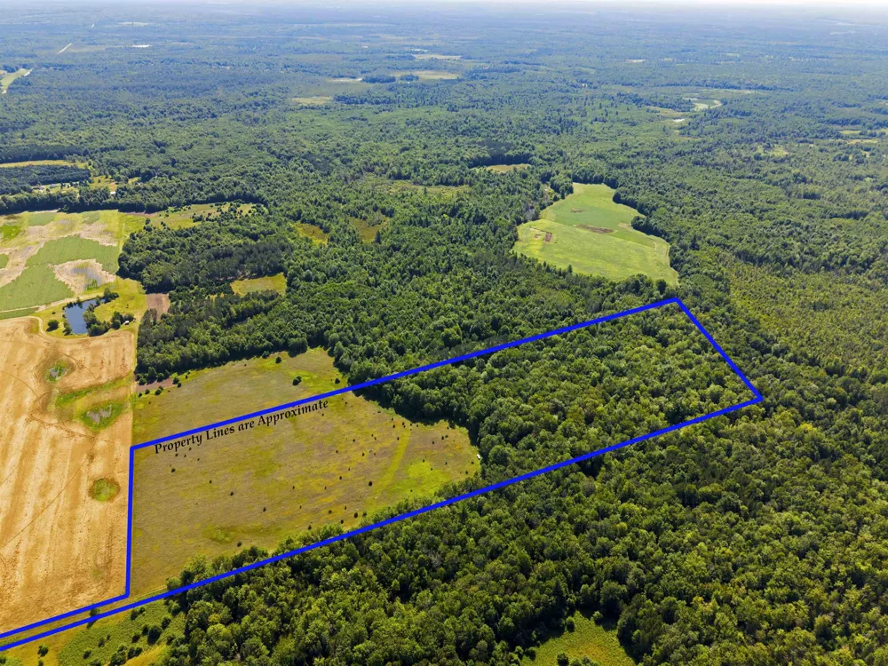 3396 SE Spencer Road Orange Township, MI 49646
