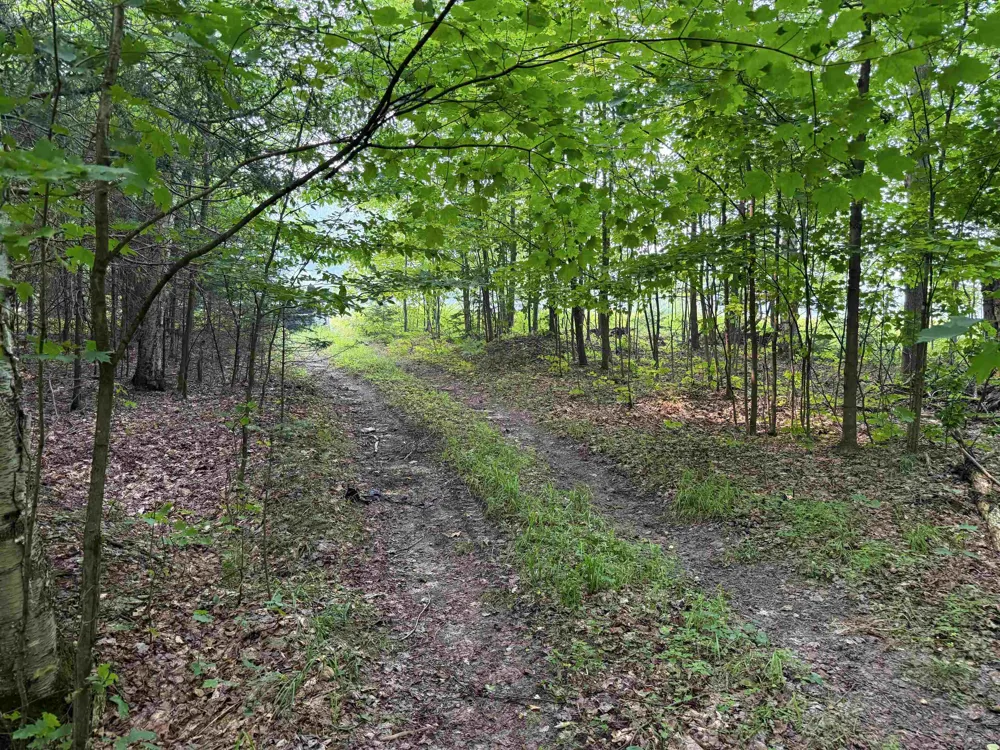 3396 SE Spencer Road Orange Township, MI 49646