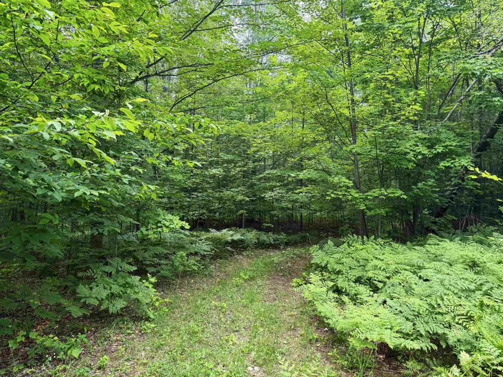 3396 SE Spencer Road Orange Township, MI 49646