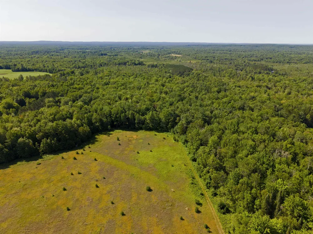 3396 SE Spencer Road Orange Township, MI 49646