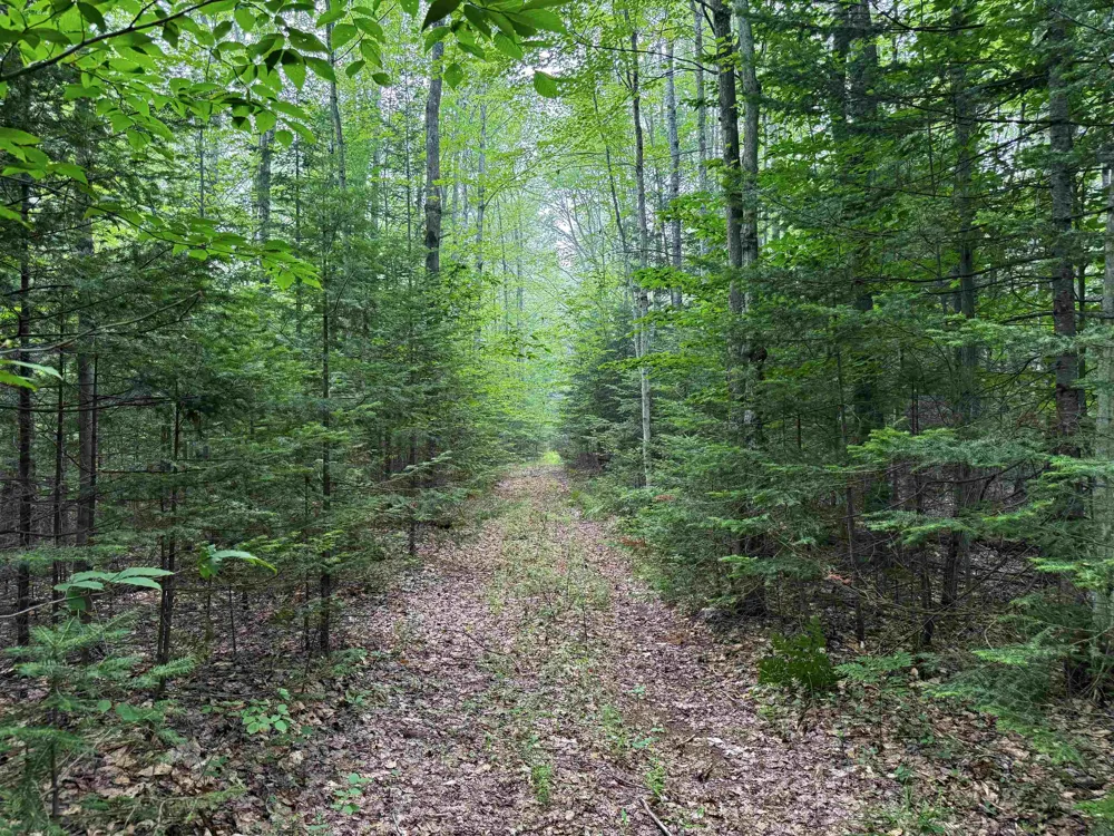 3396 SE Spencer Road Orange Township, MI 49646