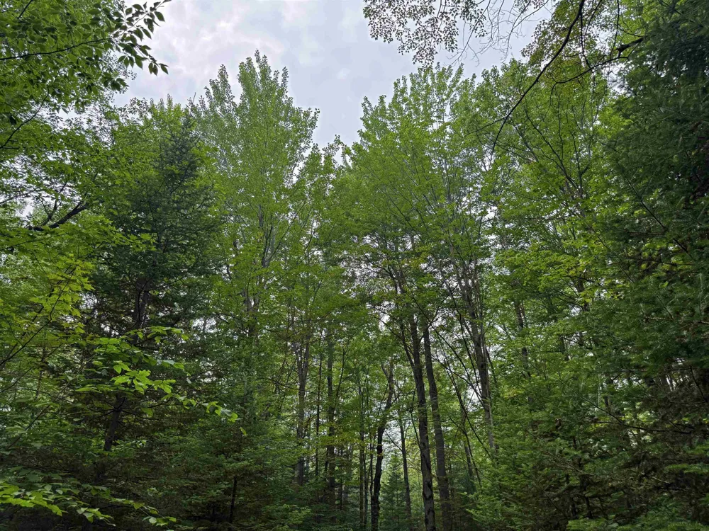 3396 SE Spencer Road Orange Township, MI 49646