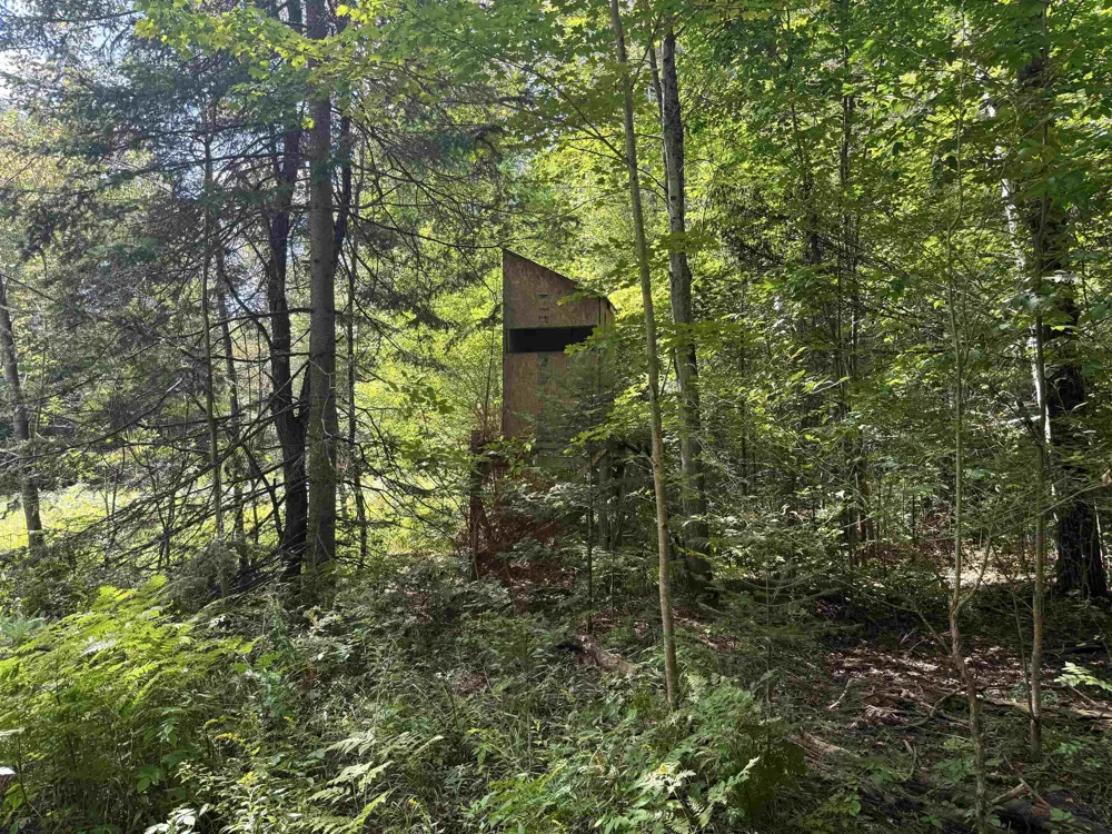 3396 SE Spencer Road Orange Township, MI 49646