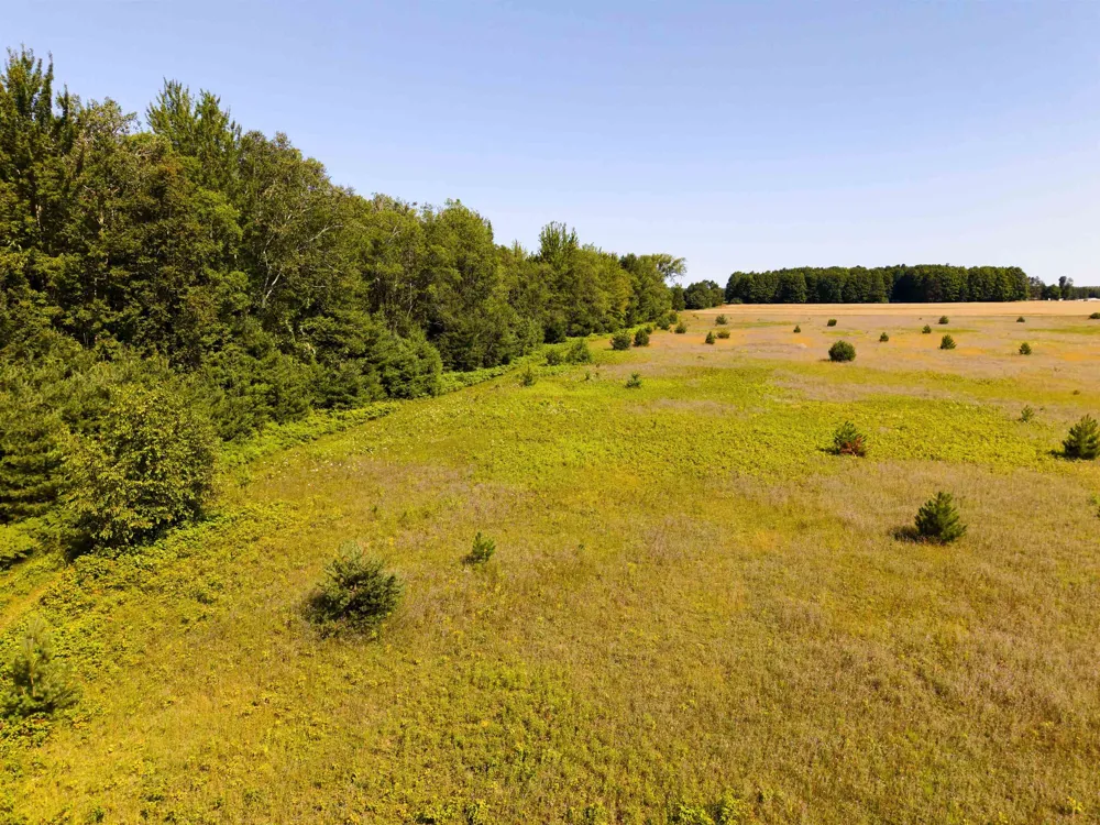3396 SE Spencer Road Orange Township, MI 49646