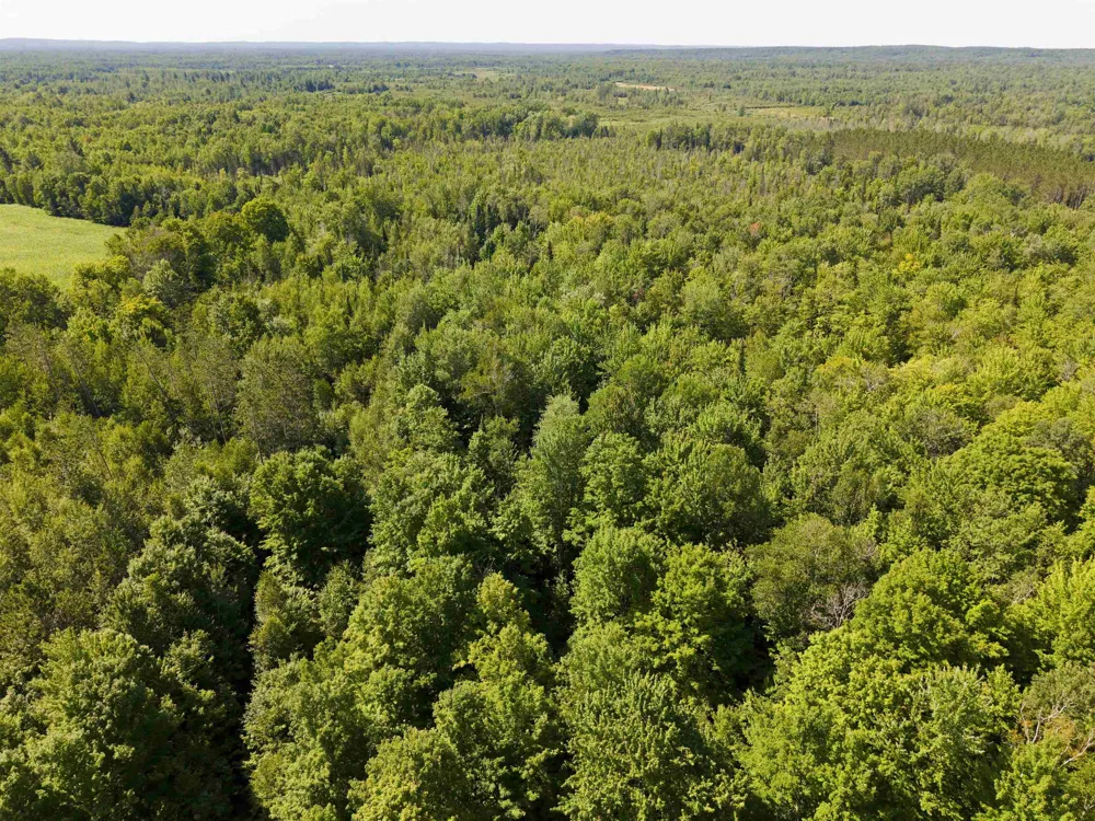 3396 SE Spencer Road Orange Township, MI 49646