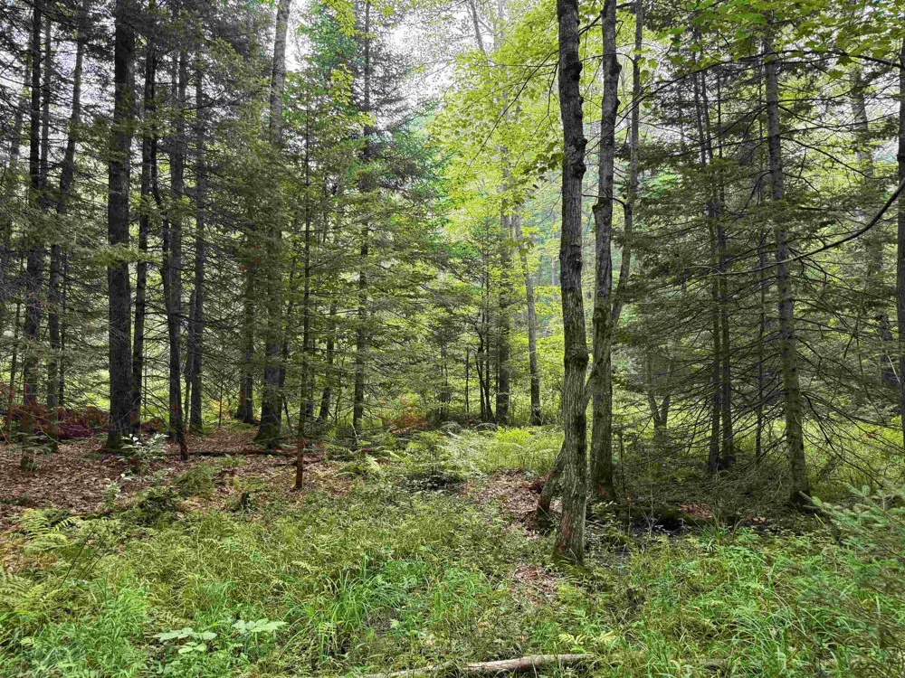 3396 SE Spencer Road Orange Township, MI 49646