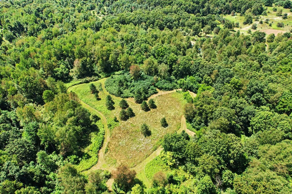 10064 Love Road Assyria Township, MI 49021
