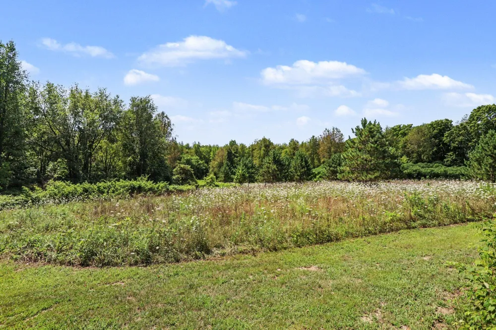 10064 Love Road Assyria Township, MI 49021