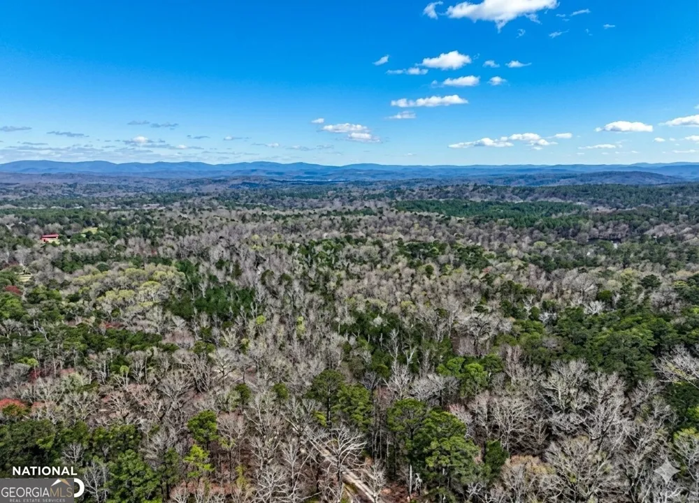 0 Hopeful RD Munfurd, AL 36268