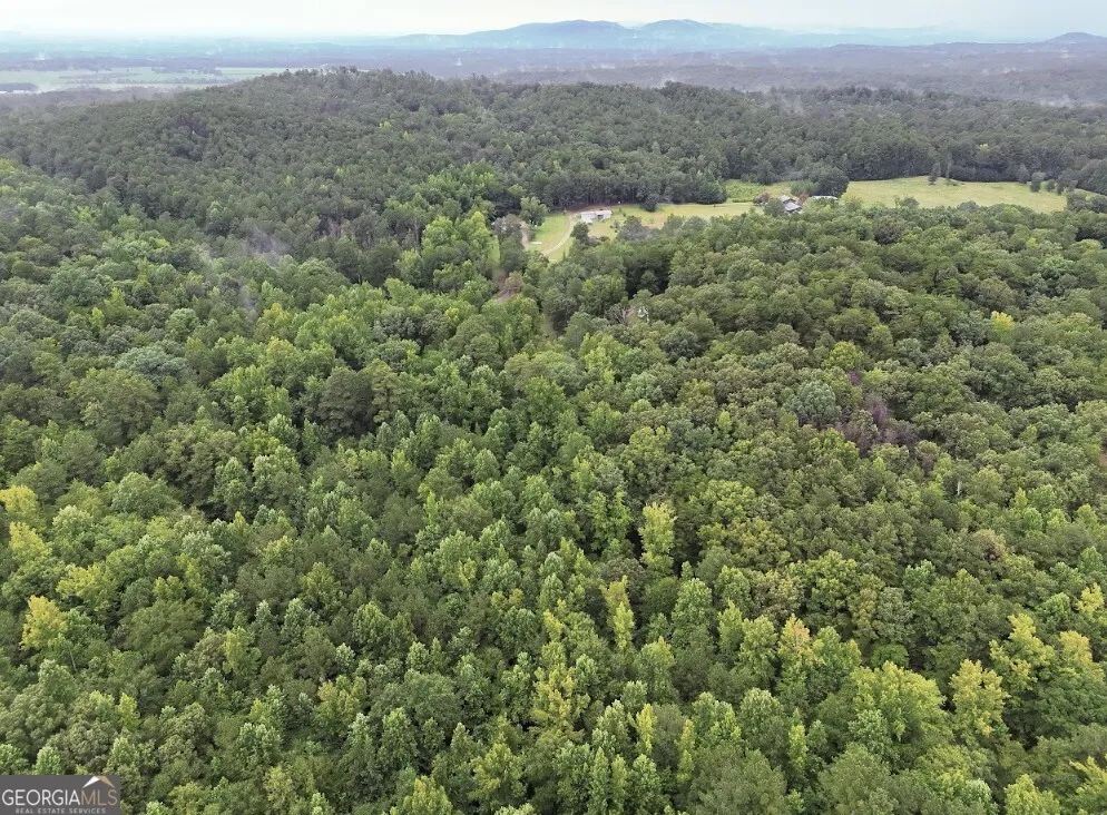 0 Hopeful RD Munfurd, AL 36268