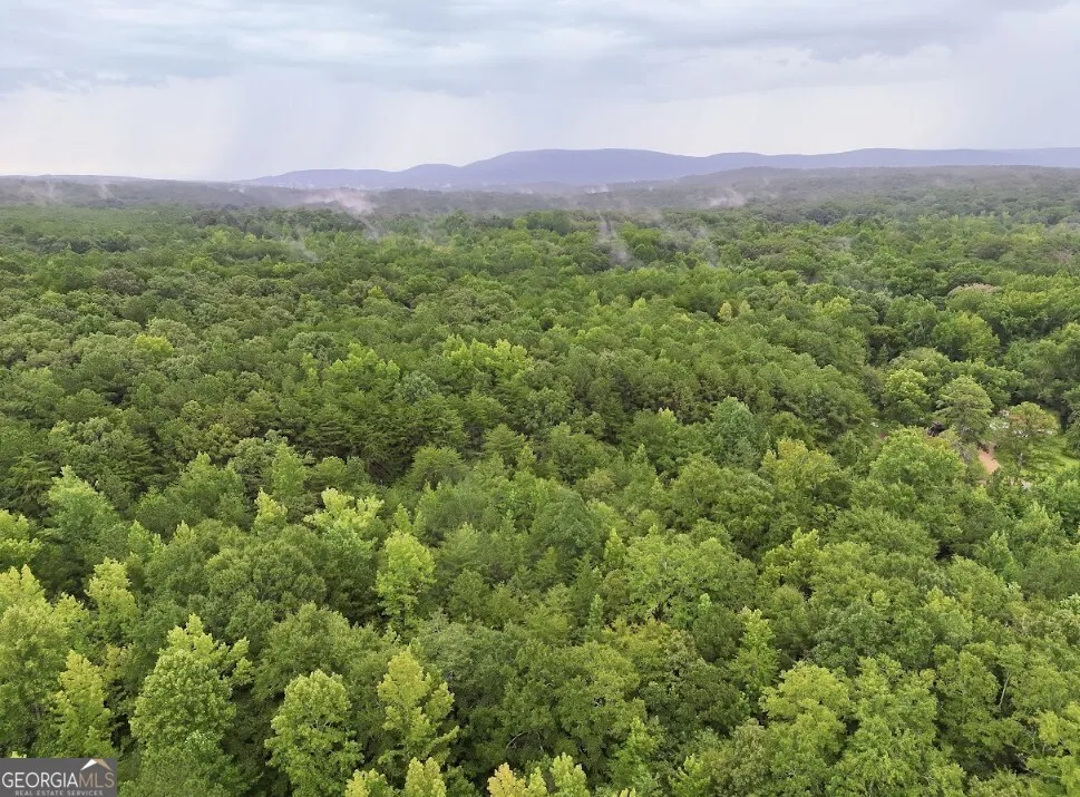 0 Hopeful RD Munfurd, AL 36268