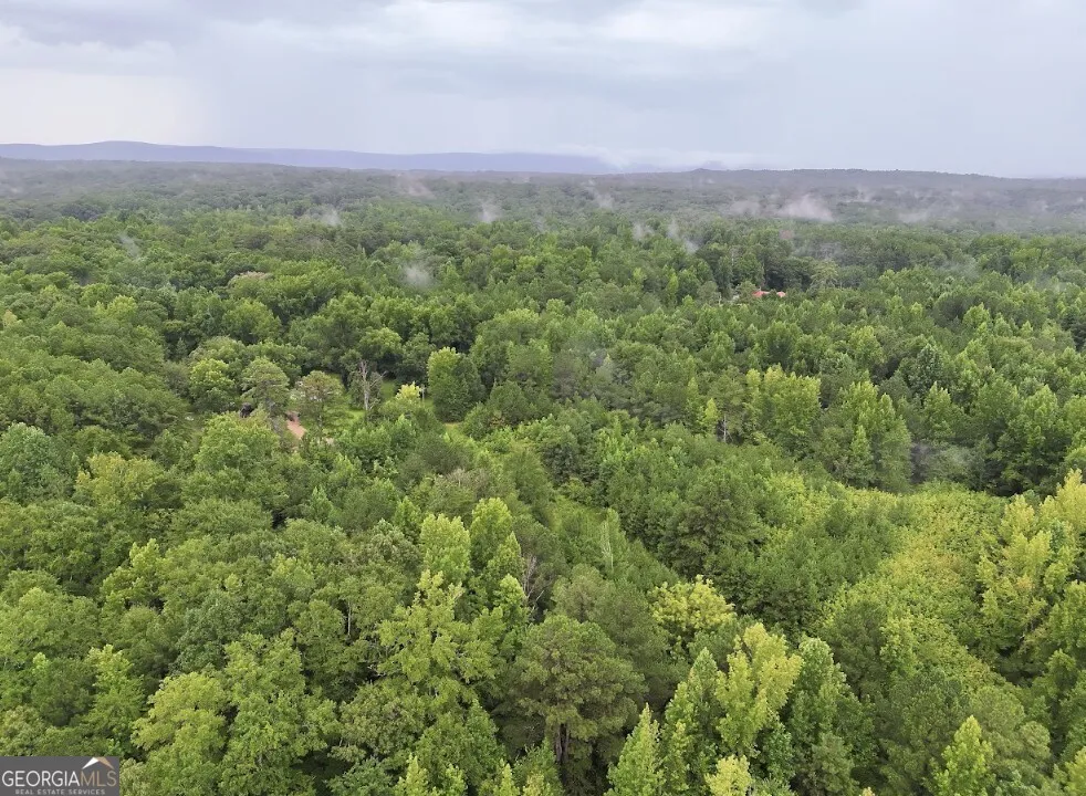 0 Hopeful RD Munfurd, AL 36268