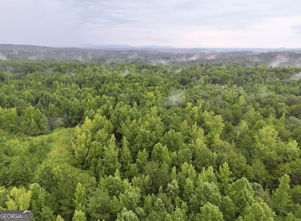 0 Hopeful RD Munfurd, AL 36268