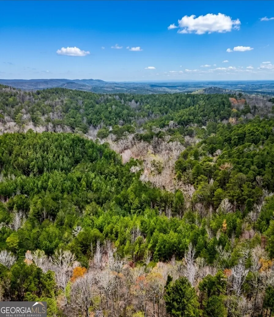 0 Hopeful RD Munfurd, AL 36268