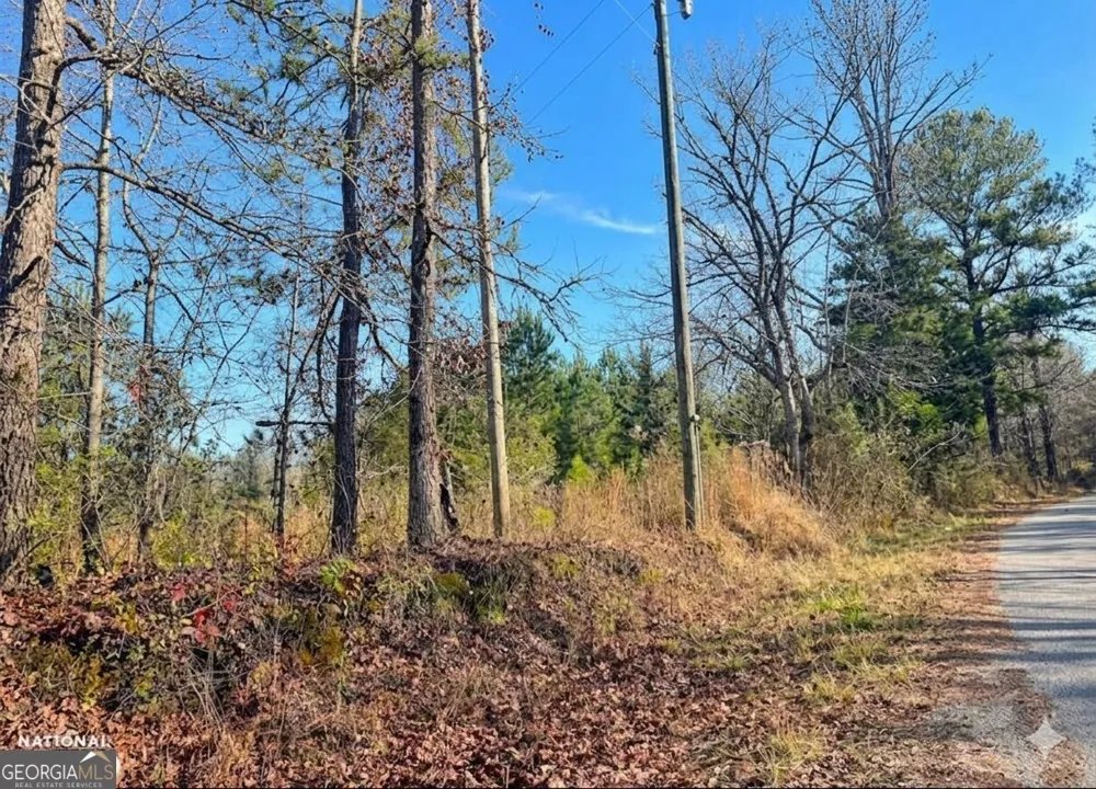 0 Hopeful RD Munfurd, AL 36268