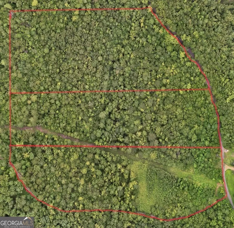 0 Hopeful RD Munfurd, AL 36268