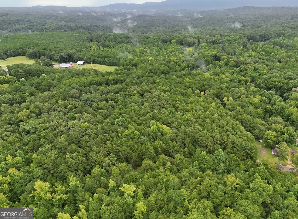 0 Hopeful RD Munfurd, AL 36268