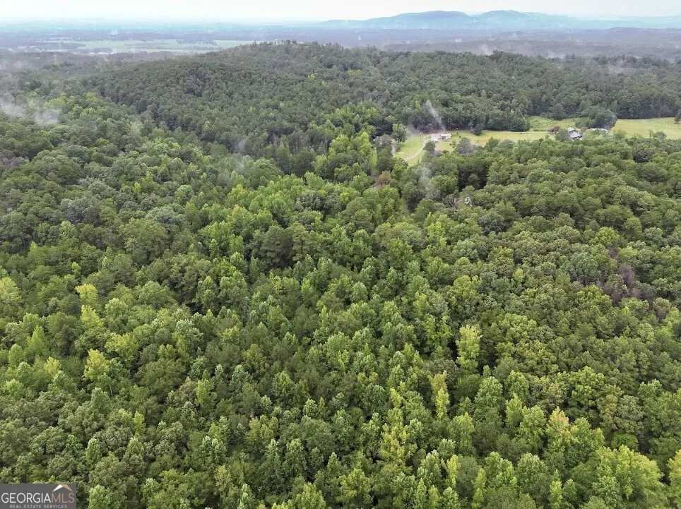 0 Hopeful RD Munfurd, AL 36268